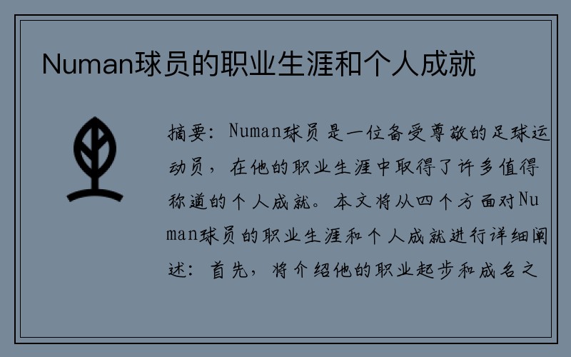 Numan球员的职业生涯和个人成就